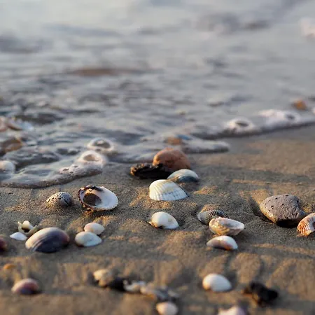 Style With Whirpool * Bibione
